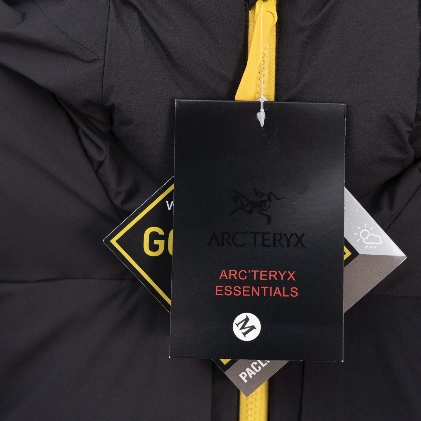 wg.luxury-- 1r3t5ryx Down jacket white goose down 2colour item: E-F431J2023-2